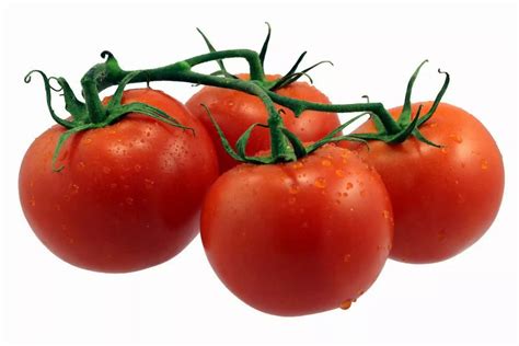 The Worlds Biggest Tomato Producing Countries The Agriculture News