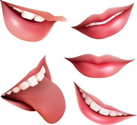 Vector Mouth Free Vector Download Freeimages