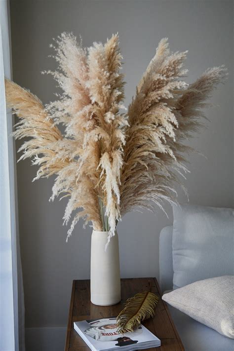 Xl Pampas Grass Beige Set Of 3 For Love Of Pampas