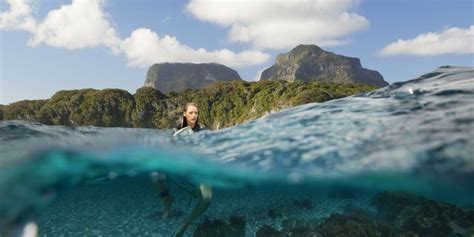 The Shallows 2016 Blake Lively Goes Toe To Fin Against A Hungry