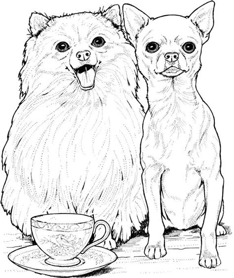 Https://wstravely.com/coloring Page/coloring Pages Of Chihuahuas