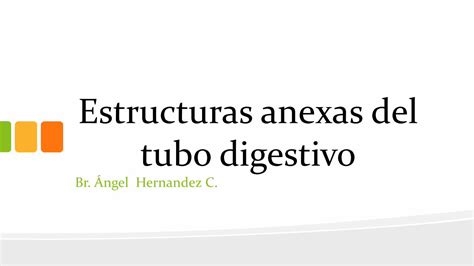 Pdf Estructuras Anexas Del Tubo Digestivo · Estructuras Anexas Del