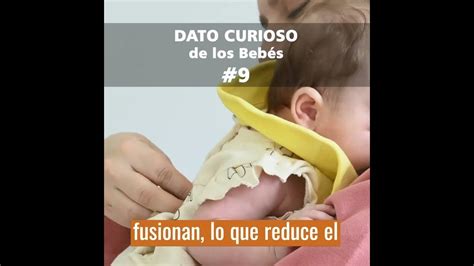 Los Bebés Tienen Más Huesos Que Los Adultos 9 Dato Curioso Que No