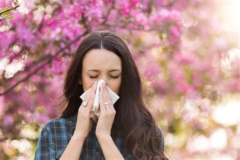 Fall Allergies What Causes Them And How To Ease Them Kearney County Health Services