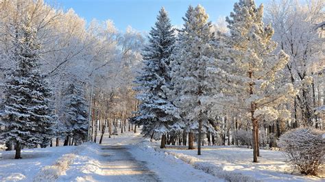 Vintage Winter Wonderland Wallpapers Wallpaper Cave