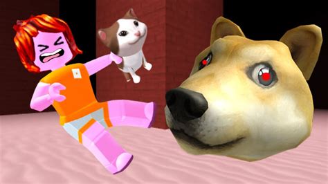 Roblox Doge Head Escape Youtube