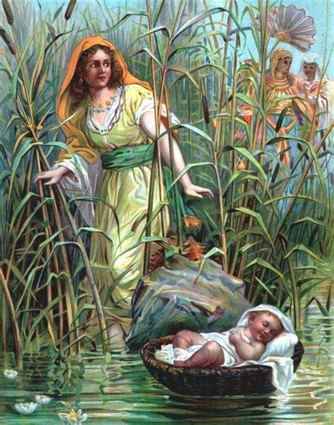 Baby Moses Biblical Art Christian Art Bible Pictures