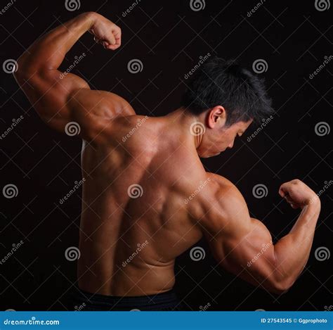 Body Builder Flexing Biceps Stock Image Image Of Isolated Adult