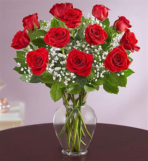 Dozen Rose Elegance Premium Long Stem Red Roses Bridgewater Florist