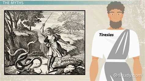 Tiresias Of The Odyssey Mythology Overview Video And Lesson