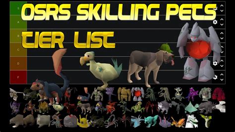 Osrs Skilling Pets Tier List Youtube