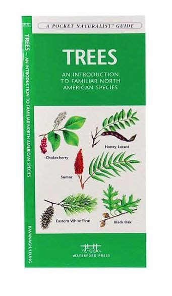 Trees A Folding Pocket Guide To Familiar North American Plants By