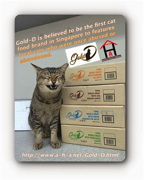 It is not difficult to make cat food but do your homework first and do not get 'creative' and start adding/omitting ingredients to/from a balanced recipe. Singapore Community Cats: Gold-D is believed to be the ...