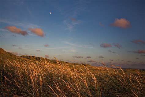 Beach Grass During Sunset Beach Grass Moving In The Wind S Flickr