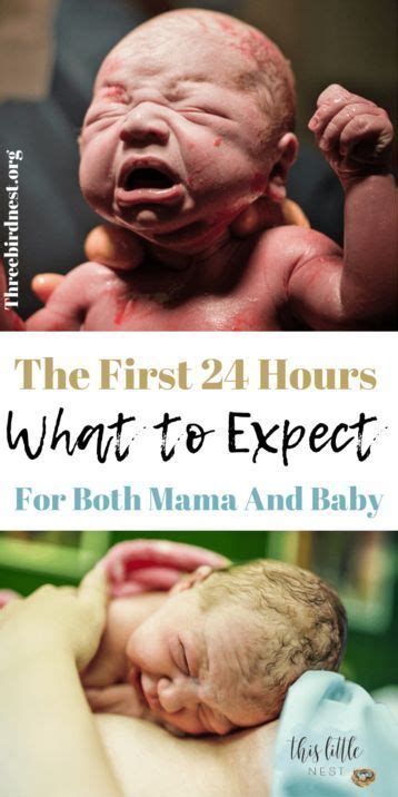 The First 24 Hours After Birth What To Expect In Those First Hours