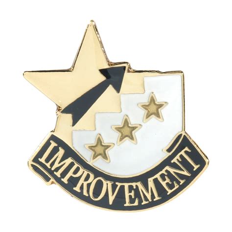 Improvement Recognition Pin With Box Dinn Trophy