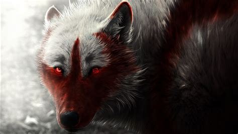 Wolf Wallpaper Wallpapers Top Free Wolf Wallpaper Backgrounds