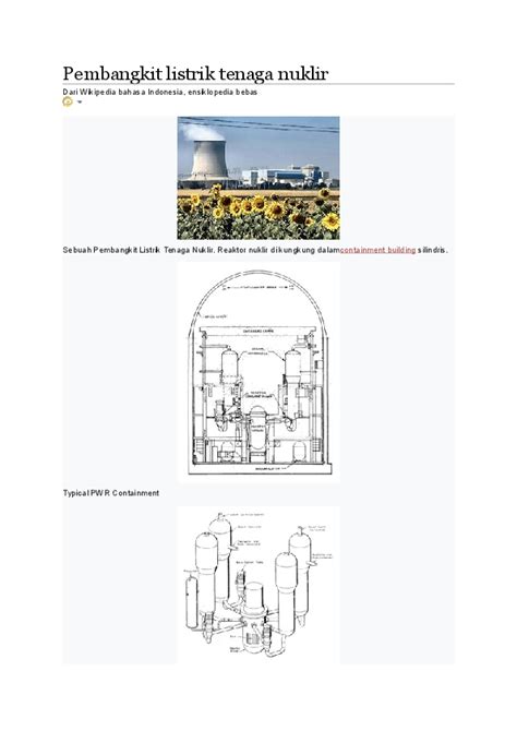Doc Pembangkit Listrik Tenaga Nuklir Schematic Of Reactor Coolant