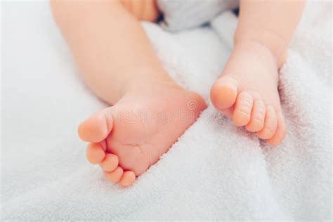 Newborn Baby On A White Blanket Stock Photo Image Of Newborn Macro