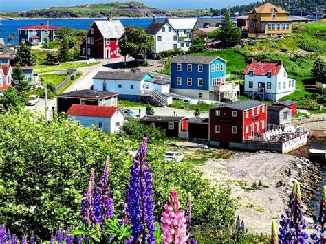 trinity a perfect little quaint town on our beloved bonavista peninsula submitted by mark