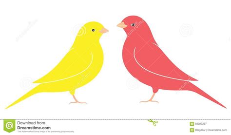 Canary Bird Stock Vector Illustration Of Baby Funny 84027237