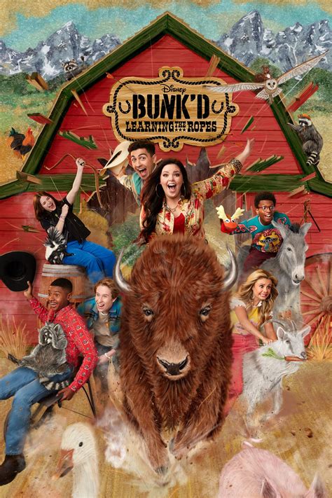 Bunkd 2015 Tv Show Where To Watch Streaming Online And Plot