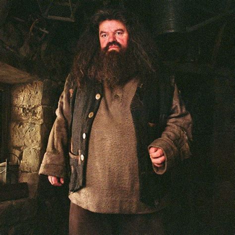 Happy Birthday Rubeus Hagrid 🎂🎉🎈 Harry Potter Amino
