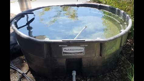Koi 300 Gallon Quarantine Tank Addition Rubbermaid Part 2 Youtube