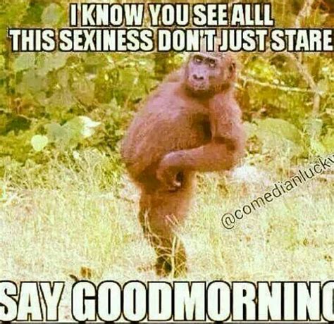 An Orangutan Standing On Its Hind Legs With The Caption Saying I Know