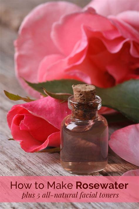Rose water soothes the skin and keeps it healthy. 5 Homemade Facial Toners + How to Make Rosewater | Facial ...