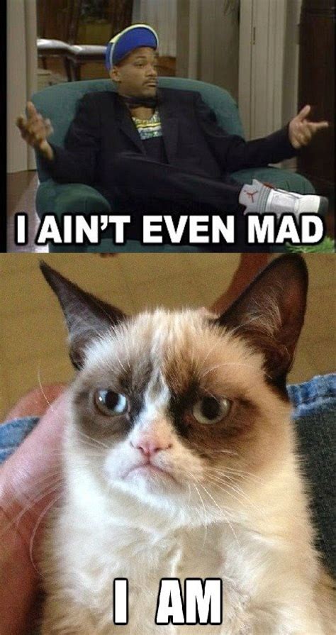 Pin By Martha White On Grumpy Cat Funny Grumpy Cat Memes Grumpy Cat