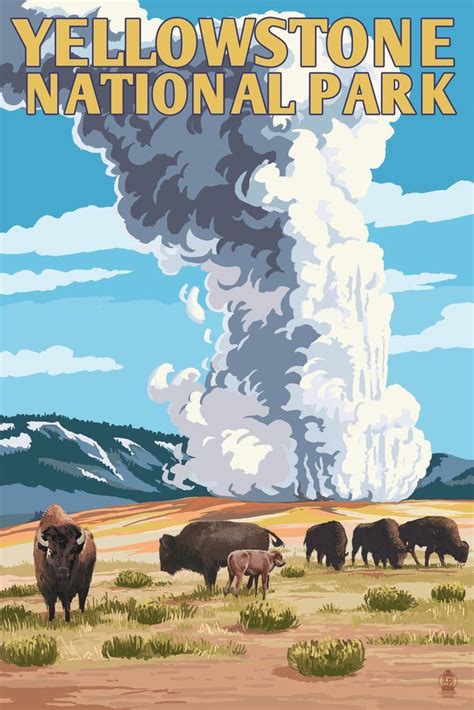 print yellowstone national park wyoming old faithful geyser and bison herd lantern press