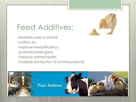 Top 150 Feed Additives In Animal Nutrition