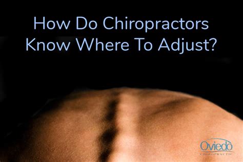 How Do Chiropractors Know Where To Adjust Oviedo Chiropractic