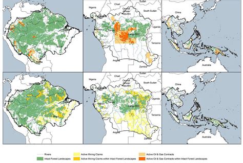 Deforestation Before And After Map