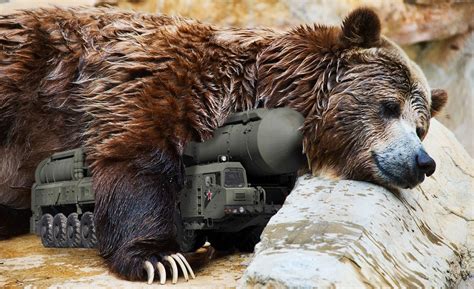 hibernating bears and iced bilateral cooperation the new us russian relationship · global voices