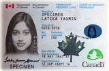 Images of Quebec Health Card Renewal