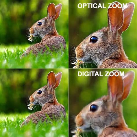 Digital Vs Optical Zoom Optical Is Better