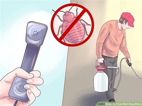 How To Treat Bed Bug Bites 12 Steps With Pictures Wikihow