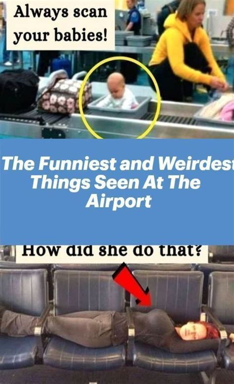 The Funniest And Weirdest Things Seen At The Airport Artofit