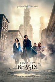 Image result for fantastic beasts and where to find them poster