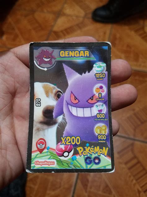 This Mexican Pokemon Go Cards Rpokemongo