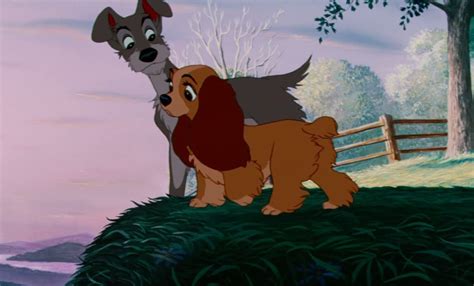 10 Things You Didnt Know About Lady And The Tramp Disney Movie