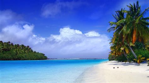 Beach Seashore Under Blue White Cloudy Sky And Palm Coconut Trees Hd
