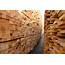 Ottawa Announces Softwood Lumber Aid Package  Resources & Agriculture