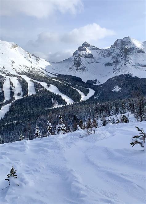Ultimate Locals Guide To Sunshine Village Ski Resort In Banff The