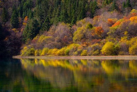 102 Five Flower Lake Multicolored Lake Autumn Forest Stock Photos