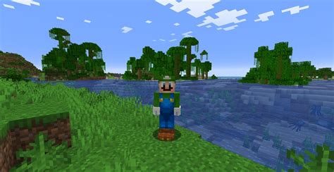 Minecraft Super Mario Luigi 3d Skin Java Supermario 12011921