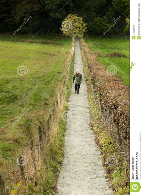 Straight Narrow Path Stock Photo Image Of Fence Senior