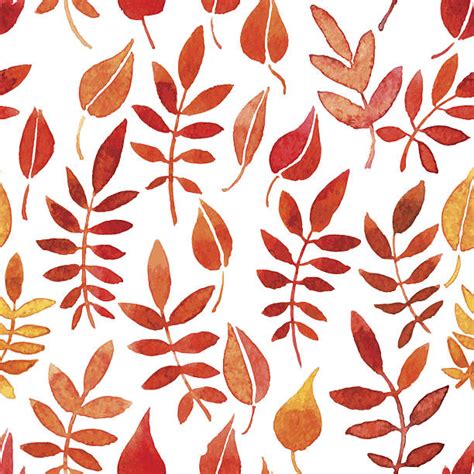 Defoliation Fall Illustrations Royalty Free Vector Graphics And Clip Art
